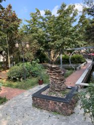 -莲生母婴月子中心(清水河公园店)
