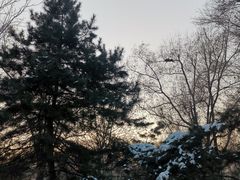 -黛秀湖公园