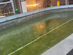 -光头佬室内钓虾场·烧烤·团建·亲子(中山八路店)