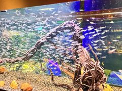 -味界·精致赣菜(招商花园城店)