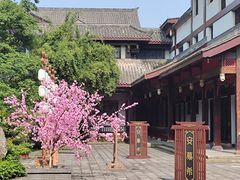 -乐山乌木文化博览苑