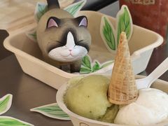 -极拉图·现制冰淇淋(大卫城店)