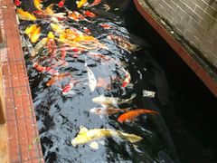 -侠成水上农庄(工业大道店)