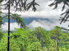 -梭布垭石林景区