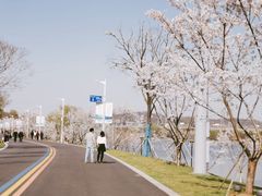 -羊山湖公园