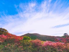 -大围山国家森林公园