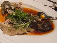 清蒸多宝鱼-小南洋海景餐厅(深圳湾店)