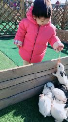 -萌宠亲子动物乐园(槐房万达店)