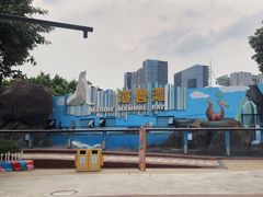 -海合安成都极地海洋公园