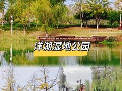 -洋湖国家湿地公园