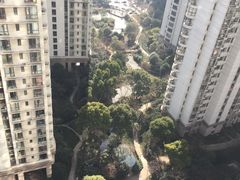 -新湖明珠城