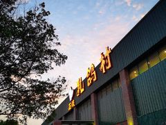 -石岐乳鸽村(南海第三分店)