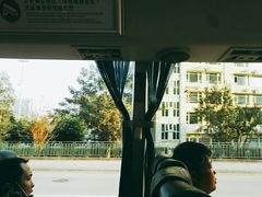 -西湾大桥