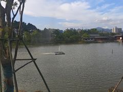 -江心屿景区
