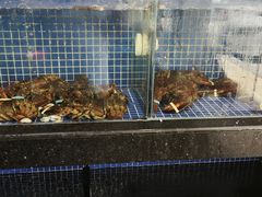 -明记海鲜大排档(巽寮湾店)