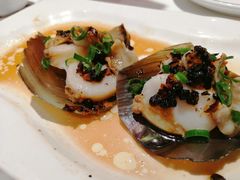-强记海鲜·大排档(蛇口新街店)