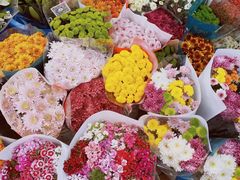 -秦美花卉(天朗·莱茵小城2期店)