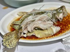 清蒸鲈鱼-峨嵋酒家总店(车公庄店)