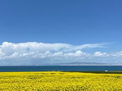 -青海湖国家重点风景名胜区