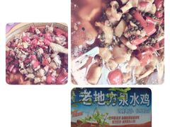 -重庆海昌加勒比海水世界