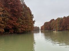 -上海海湾国家森林公园