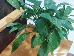 -网鱼网咖(上海静安寺店)