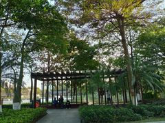 -映月湖公园
