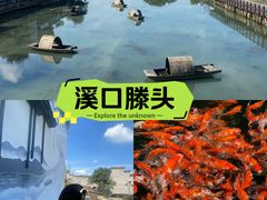 -溪口-滕头旅游景区