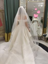 欧美大牌-Renee芮亦婚纱(原丽莎)