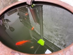 -宁波市保国寺古建筑博物馆