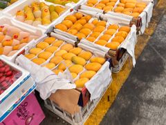 -西郊国际农产品交易中心