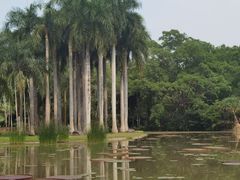 -中国科学院西双版纳热带植物园