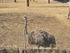 -石家庄市动物园