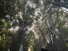 -成都杜甫草堂博物馆