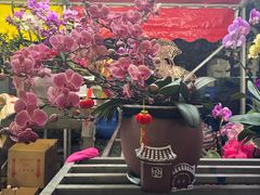 -天河体育中心