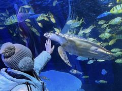 -太平洋海底世界