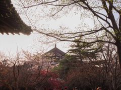 -西安青龙寺遗址景区