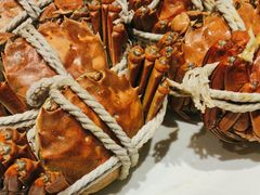 -杨氏青龙虾·羊蝎子(托乐嘉店)