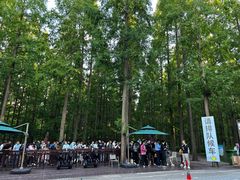 -黄海国家森林公园