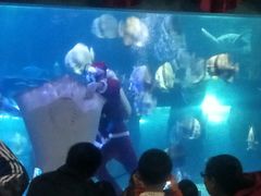 -台州海洋世界