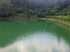 -华庭苑农家乐(旺山店)