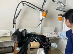 -派美特宠物医院·核磁CT·骨科肿瘤·疑难转诊(沈农禾丰店)