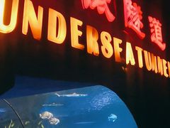 -太平洋海底世界