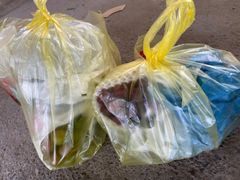 -马陆小张葡萄园农家乐