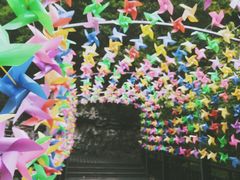 -江西阳明山国家森林公园