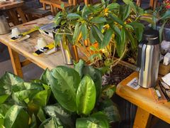 -木屋烧烤(白石洲店)
