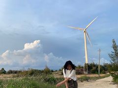 -汕尾风车岛