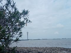 -上海吴淞炮台湾国家湿地公园