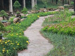 -广西壮族自治区药用植物园