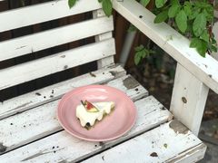 -阿狗圆子